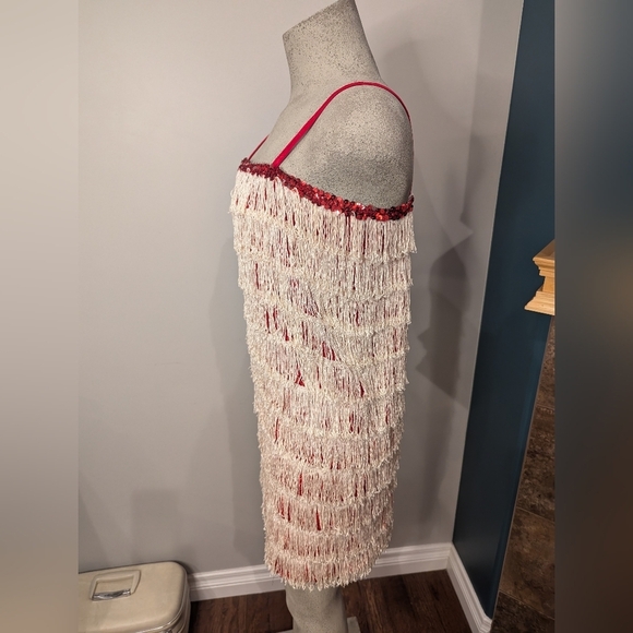 Women’s Red sparkle Fringe 1920’s Flapper Great Gatsby Costume Dress Size XS/S - Picture 5 of 14